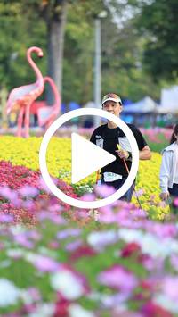 BIB:  <button type="button" onclick="openModal(27583259)" class="btn btn-primary btn-sm float-right" data-toggle="modal" data-target=".modal-high-quality">
                <i class="fa fa-download"></i> Download
                </button>